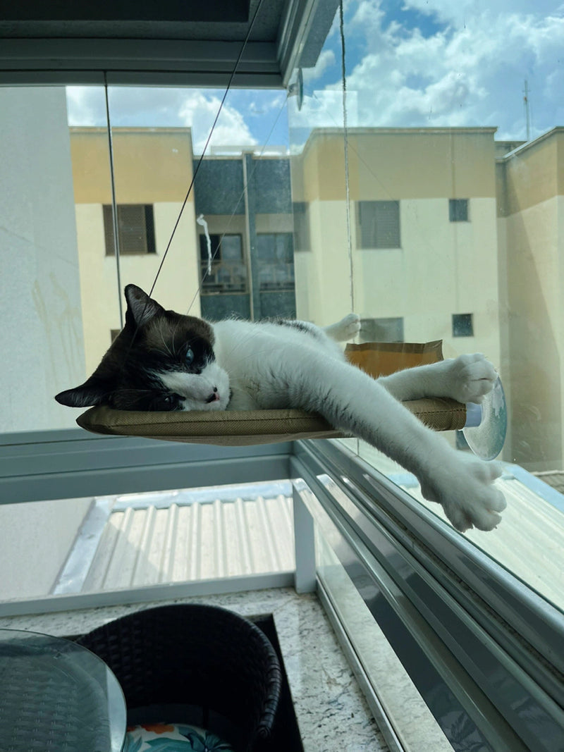 Caminha De Janela Suspensa Para Gatos Com Ventosas